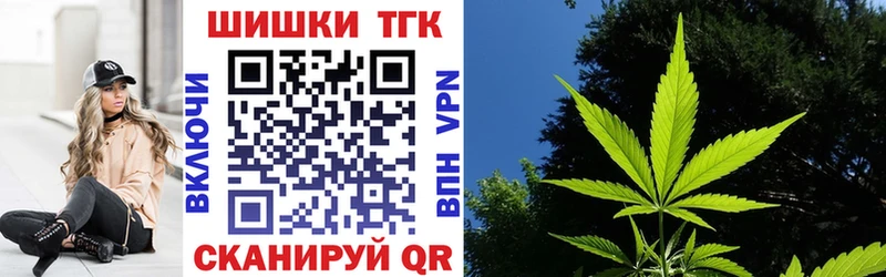 omg tor  купить наркотик  Менделеевск  Конопля ГИДРОПОН 